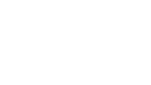 LEXUS RX 500h F-SPORT BLACK